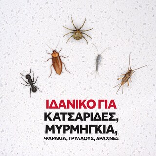 RAID | Εντομοκτόνο Spray Max1 Κατσαρίδες & Μυρμήγκια 300ml Έκπτωση 0.50Ε