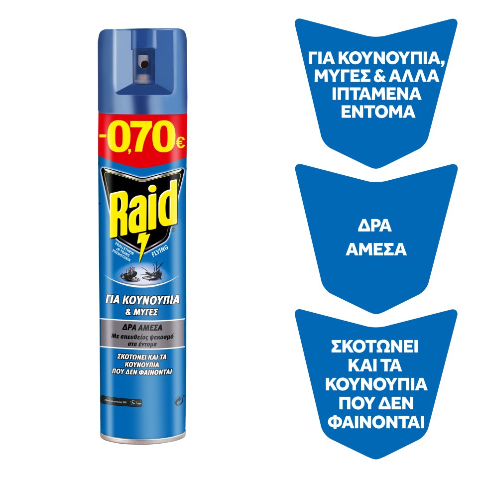 RAID Εντομοκτόνο Spray Κουνούπια & Μύγες 300ml Έκπτωση 0.70Ε