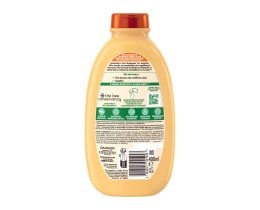 BOTANIC THERAPY | Σαμπουάν Honey Treasures Φθαρμένα Μαλλιά 400ml