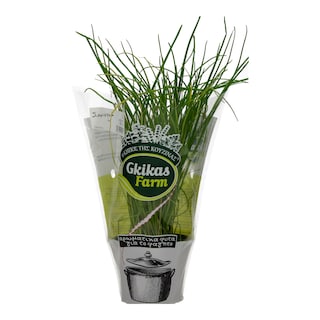 - | ΣΧΟΙΝΟΠΡΑΣΟ CHIVES ΣΕ ΓΛΑΣΤΡΑΚΙ ΕΛΛΗΝΙΚΟ 1 ΤΕΜ