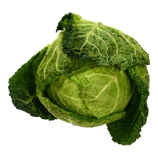 - | ΛΑΧΑΝΟ ΣΑΒΟΙ ΕΛΛΗΝΙΚΟ