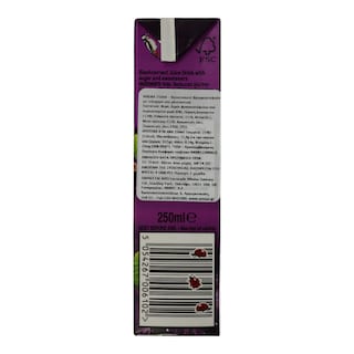 RIBENA | Φρουτοποτό Φραγκοστάφυλο 250ml