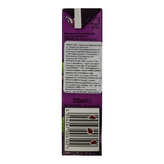 RIBENA | Φρουτοποτό Φραγκοστάφυλο 250ml