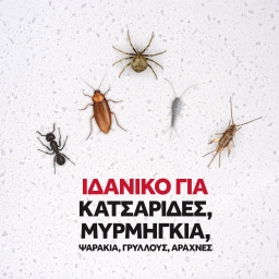 BAYGON | Εντομοκτόνο Barrier Spray Κατσαρίδες και Μυρμήγκια 500ml