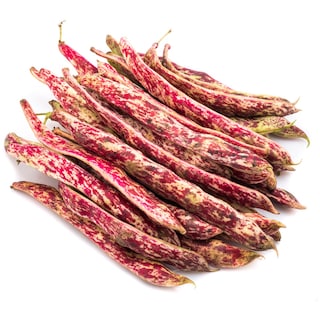 - | ΦΑΣΟΛΑΚΙΑ ΧΑΝΔΡΕΣ ΕΛΛΗΝΙΚΑ