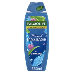 Αφρόλουτρο Wellness Massage 650ml