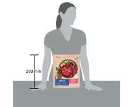 PURINA ONE | Dog Food One Mini Adult Beef with Rice 800g