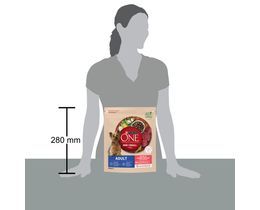PURINA ONE | DOG FOOD