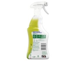 DETTOL | Cleaning Spray Antibacterial Green Apple 500ml