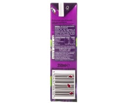 RIBENA | Φρουτοποτό Φραγκοστάφυλο 250ml