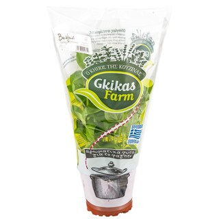 - | ΒΑΣΙΛΙΚΟΣ ΠΛΑΤΥΦΥΛΛΟΣ ΣΕ ΓΛΑΣΤΡΑΚΙ ΕΛΛΗΝΙΚΟΣ 1 ΤΕΜ