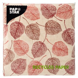 PAPSTAR | Χαρτοπετσέτες Bjork Οικολογικές 33x33cm 104g