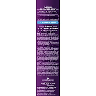 PALETTE | Βαφή Μαλλιών 10.19 Κατάξανθο Ψυχρό Σαντρέ 1 Τεμάχιο