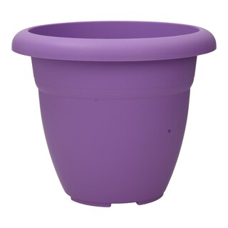 - | ΓΛΑΣΤΡΑ 2.1Λ 6 ΧΡΩΜΑΤΑ 1TEM