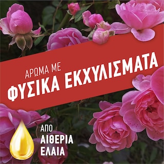 AJAX | Υγρό Καθαρισμού Fete Des Fleurs Ρόδο Αυγής 1lt 1+1 Δώρο