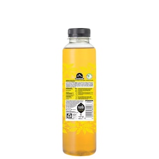 ΟΛΥΜΠΟΣ | Ice Tea Lemon Mountain Tea 500ml