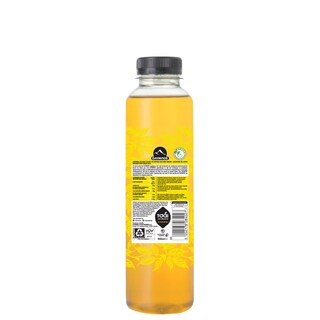 ΟΛΥΜΠΟΣ | Ice Tea Λεμόνι Τσάι Βουνού 500ml