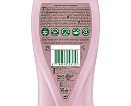 PALMOLIVE | Αφρόλουτρο Wellness Άργιλος & Ροδέλαιο 500ml