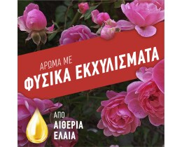 AJAX | Υγρό Καθαρισμού Fete Des Fleurs Ρόδο Αυγής 1lt 1+1 Δώρο