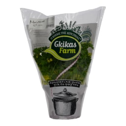 - | ΜΑΪΝΤΑΝΟΣ ΦΡΙΖΕ ΣΕ ΓΛΑΣΤΡΑΚΙ ΕΛΛΗΝΙΚΟ 1 ΤΕΜ