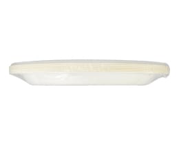 ECOCARE | WHITE PLATES FROM SUGARCANE 23CM 10PCS