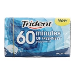 TRIDENT | 60 MINUTES | ΤΣΙΚΛΕΣ ΜΕΝΤΑ 20 GR