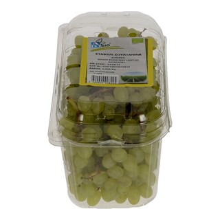 ΑΒ ΒΙΟ | ΣΤΑΦΥΛΙΑ ΣΤΑΦΙΔΑ ΒΙΟΛΟΓΙΚΗΣ ΓΕΩΡΓΙΑΣ ΕΙΣΑΓΩΓΗΣ.