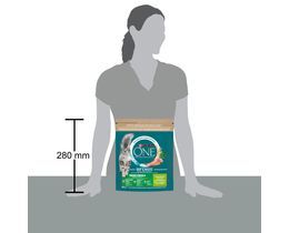 PURINA ONE | Γατοτροφή Indoor Γαλοπούλα 800g