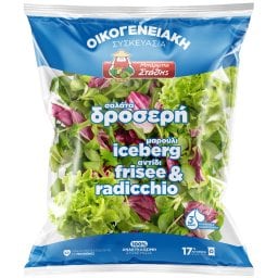 ΜΠΑΡΜΠΑ ΣΤΑΘΗΣ | Σαλάτα Δροσερή 400g