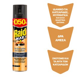 RAID | INSECTICIDE  300ML -0.50E