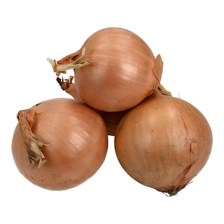 - | . ΧΟΝΔΡΑ ΕΙΣΑΓΩΓΗΣ