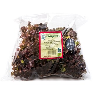 - | ΣΑΛΑΤΑ ΚΟΚΚΙΝΗ ΣΓΟΥΡΗ ΒΙΟΛΟΓΙΚΗΣ ΓΕΩΡΓΙΑΣ 1 ΤΕΜ