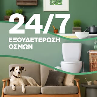 AIRWICK | Αρωματικό Χώρου Freshmatic Wild Rose & Patchouli Refill 250ml