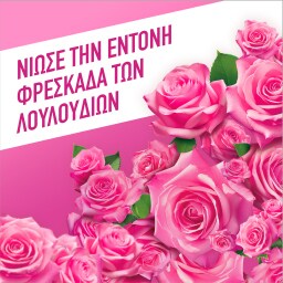 AJAX | FETE DES FLEURS | Υγρό Καθαρισμού Fete Des Fleurs Ρόδο Αυγής 1lt