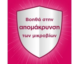 FABULOSO | Υγρό Καθαρισμού Φρεσκάδα Λουλουδιών 1lt 1+1 Δώρο