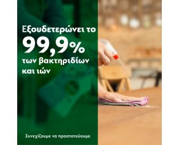 DETTOL | Καθαριστικό Spray Αντιβακτηριδιακό Linen & Aqua Sky 500ml