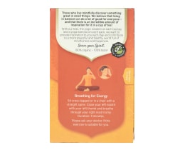 YOGI TEA | Αφέψημα Ginger Orange Vanilla Bio 17x1.8g