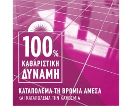 AJAX | Υγρό Καθαρισμού Fete Des Fleurs Ρόδο Αυγής 1lt 1+1 Δώρο