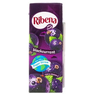 RIBENA | Φρουτοποτό Φραγκοστάφυλο 250ml
