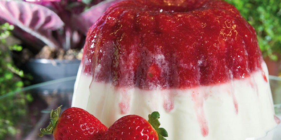 Ζελέ με χυμό φρέσκων φρούτων και γιαούρτι