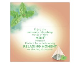 LIPTON | ΑΦΕΨΗΜΑ ΜΕΝΤΑ ΠΥΡΑΜΙΔΑ 20ΦΧ1.1GR