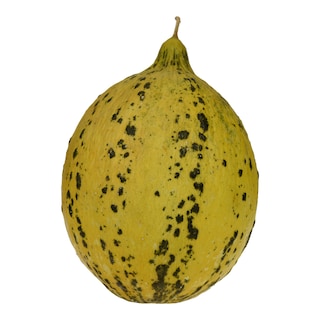 - | Πεπόνι Θράκης Ελληνικό