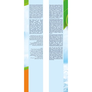 BABYLINO | Πάνες Μωρού Sensitive Χαμομήλι Νο6 15-30kg 15 Τεμάχια