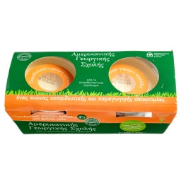 ΑΜΕΡΙΚΑΝΙΚΗ ΓΕΩΡΓΙΚΗ ΣΧΟΛΗ | AMER.GEORG.SXOLI YOGHURT 2Χ220GR