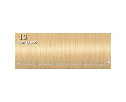 PALETTE | Βαφή Μαλλιών 10.0 Κατάξανθο 1 Τεμάχιο
