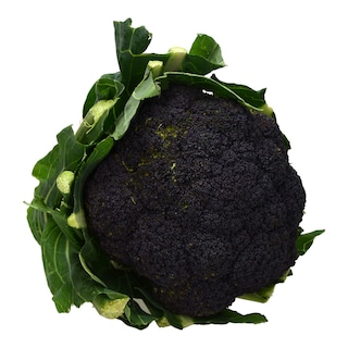 - | ΜΠΡΟΚΟΛΟ ΜΑΥΡΟ ΕΛΛΗΝΙΚΟ