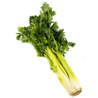 - | ΣΕΛΕΡΥ ΕΙΣΑΓΩΓΗΣ ΜΕ ΦΥΛΛΟ