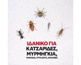 RAID | Εντομοκτόνο Spray Max1 Κατσαρίδες & Μυρμήγκια 300ml Έκπτωση 0.50Ε
