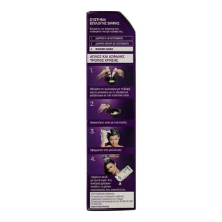 PALETTE | Βαφή Μαλλιών 8.14 Ξανθό Ανοιχτό Σαντρέ 1 Τεμάχιο