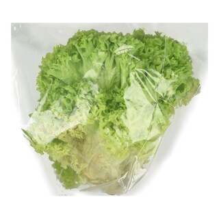 - | ΣΑΛΑΤΑ ΠΡΑΣΙΝΗ ΣΓΟΥΡΗ ΕΙΣΑΓΩΓΗΣ 1 ΤΕΜ